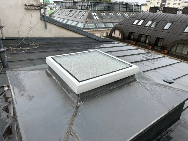 STELUX FENSTER BREITE: 81 cm